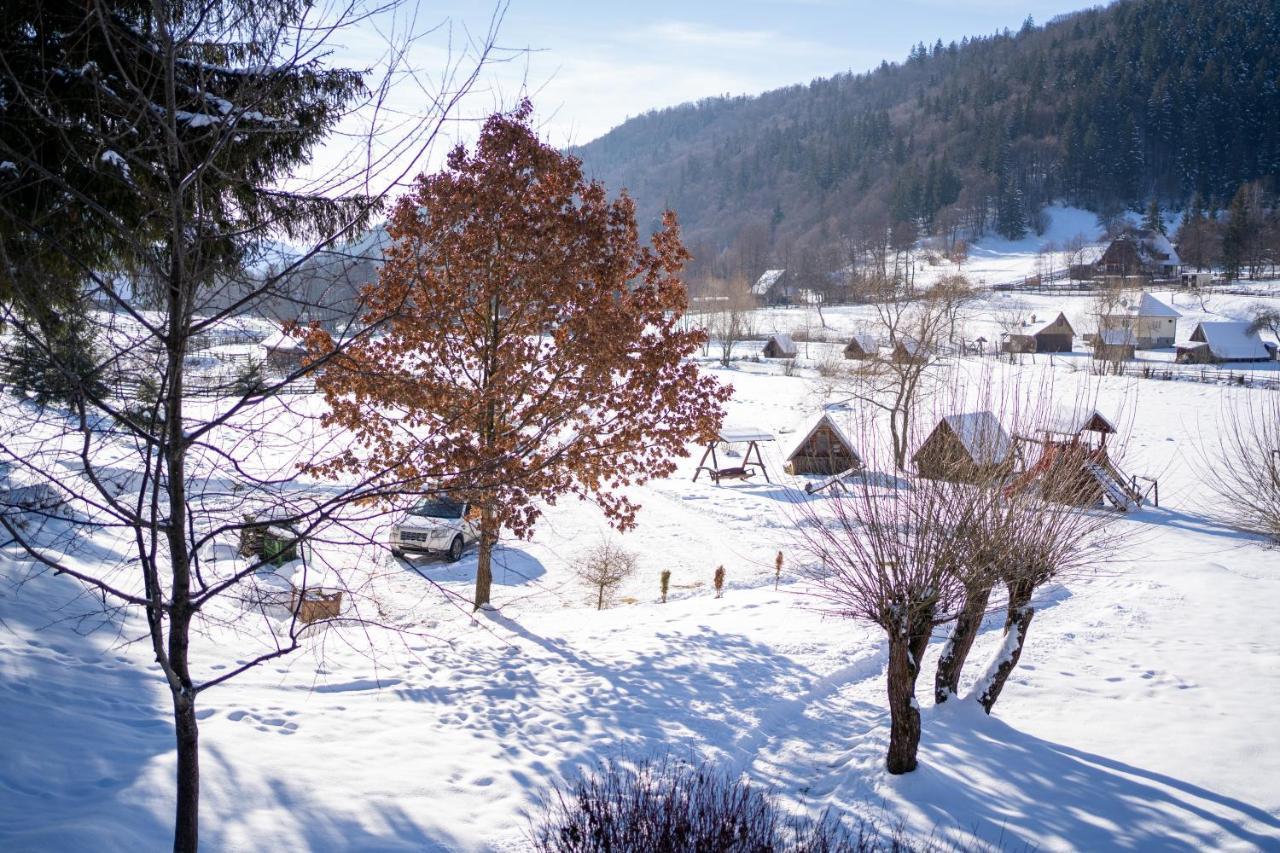 3A Guest House Sicasău エクステリア 写真