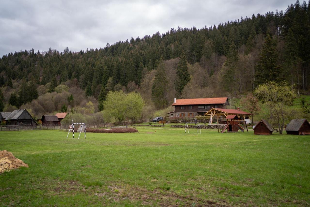 3A Guest House Sicasău エクステリア 写真