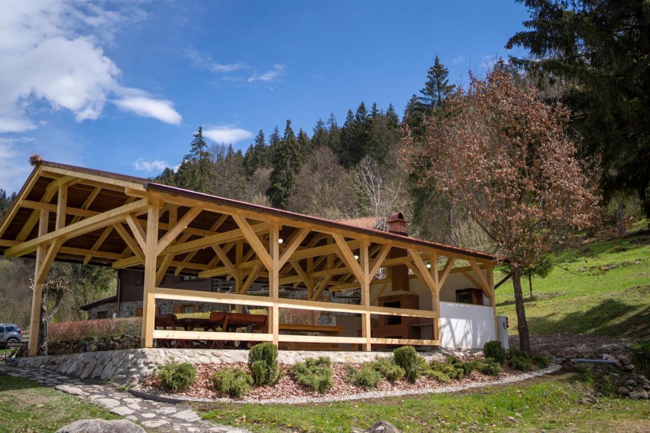 3A Guest House Sicasău エクステリア 写真