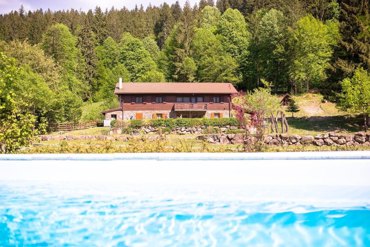 3A Guest House Sicasău エクステリア 写真