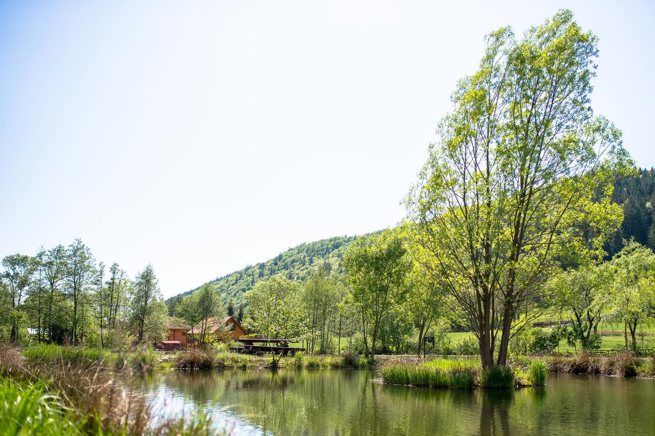 3A Guest House Sicasău エクステリア 写真