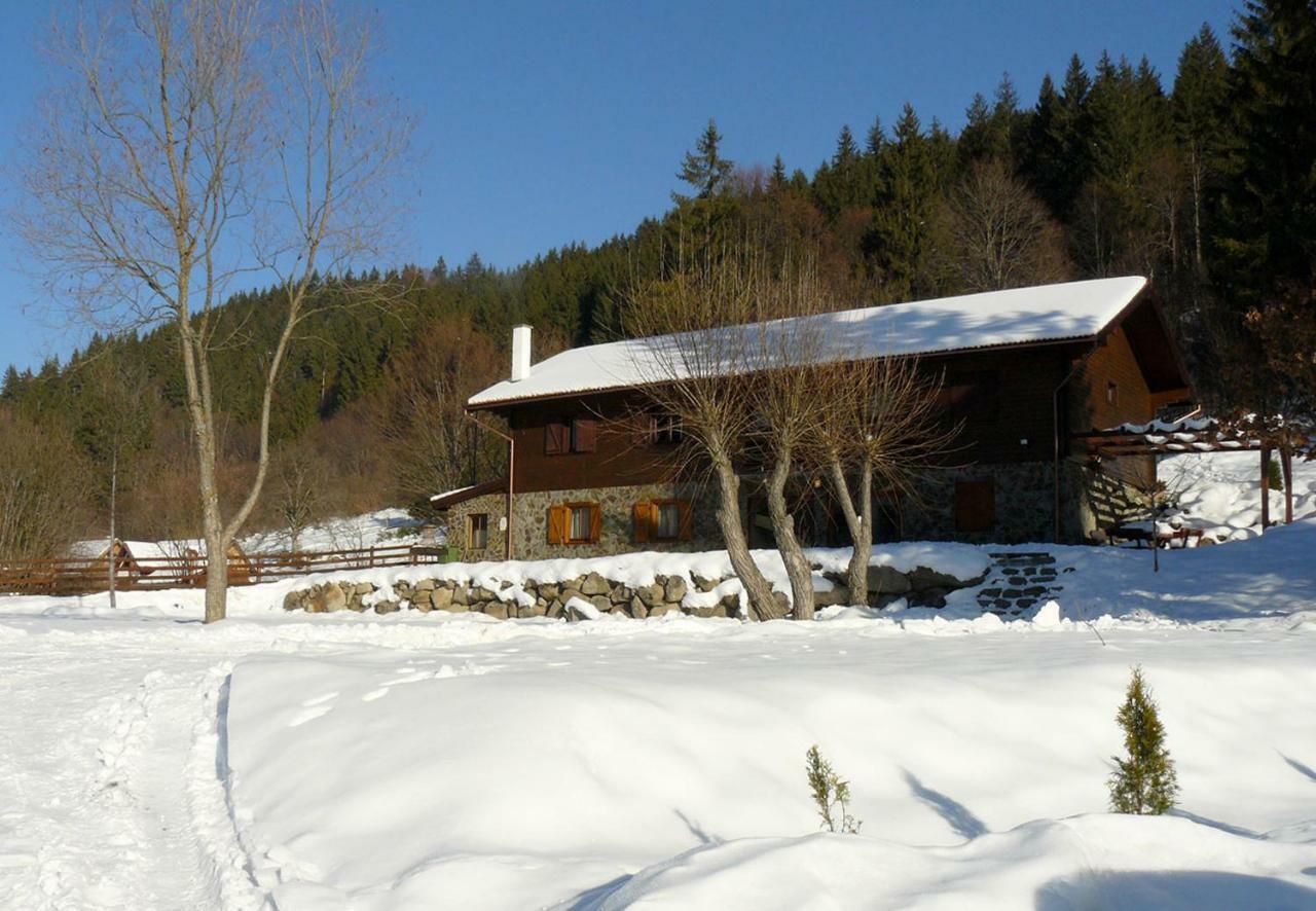 3A Guest House Sicasău エクステリア 写真