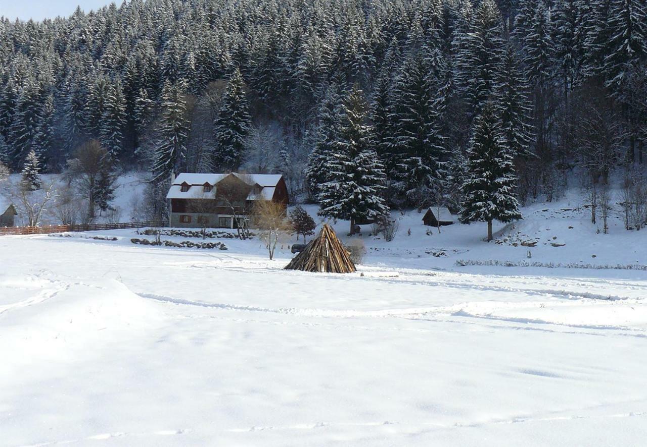 3A Guest House Sicasău エクステリア 写真